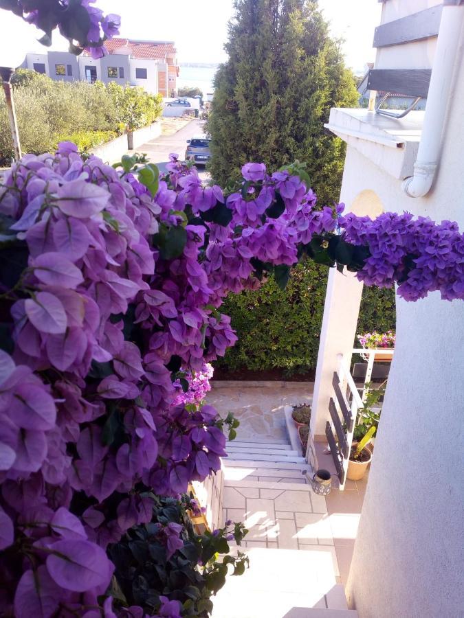 Apartman Milutin Vrsi Exteriér fotografie